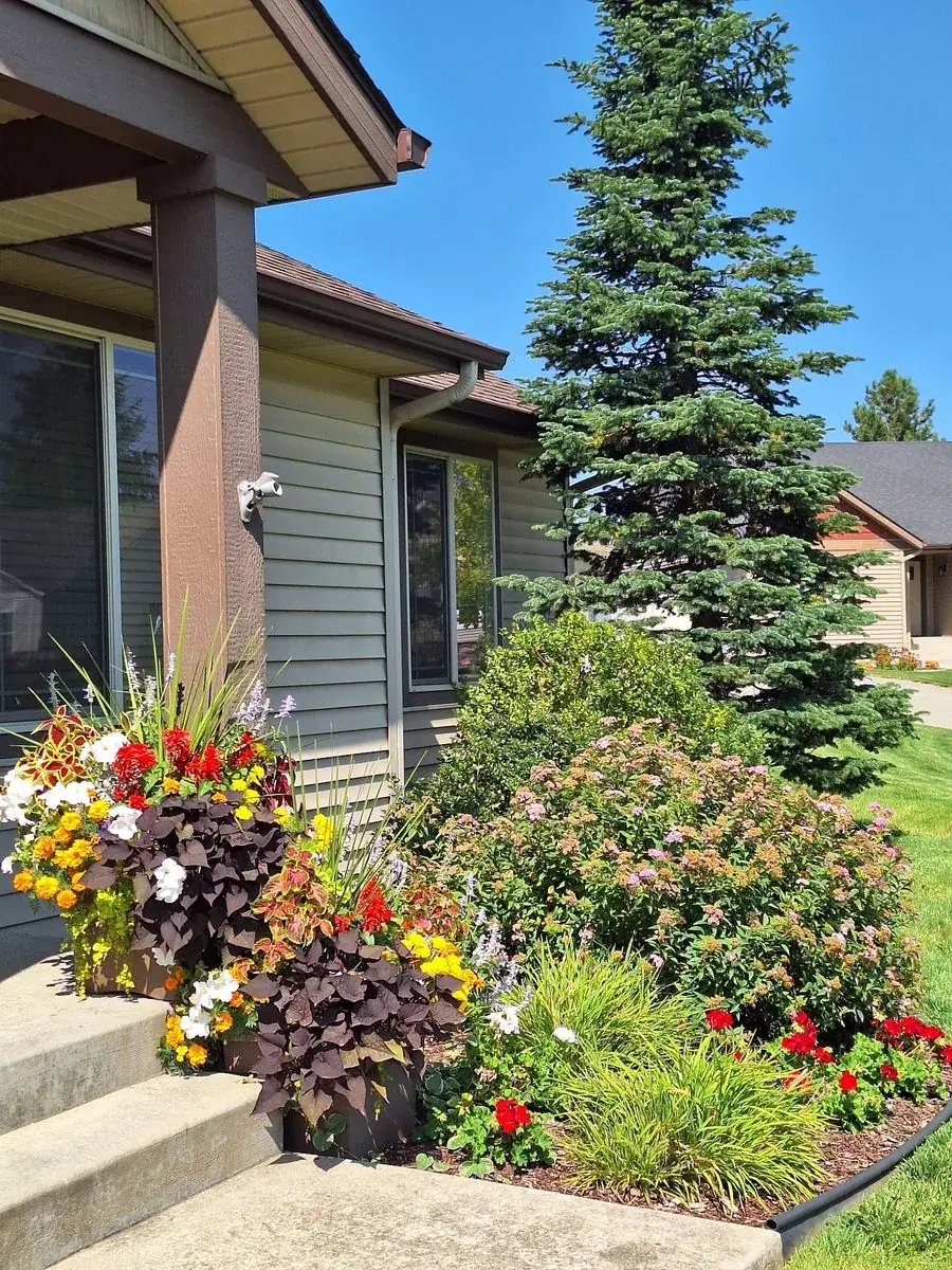 Front Door Planters