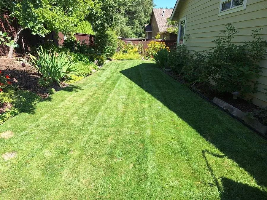 Fresh stripes