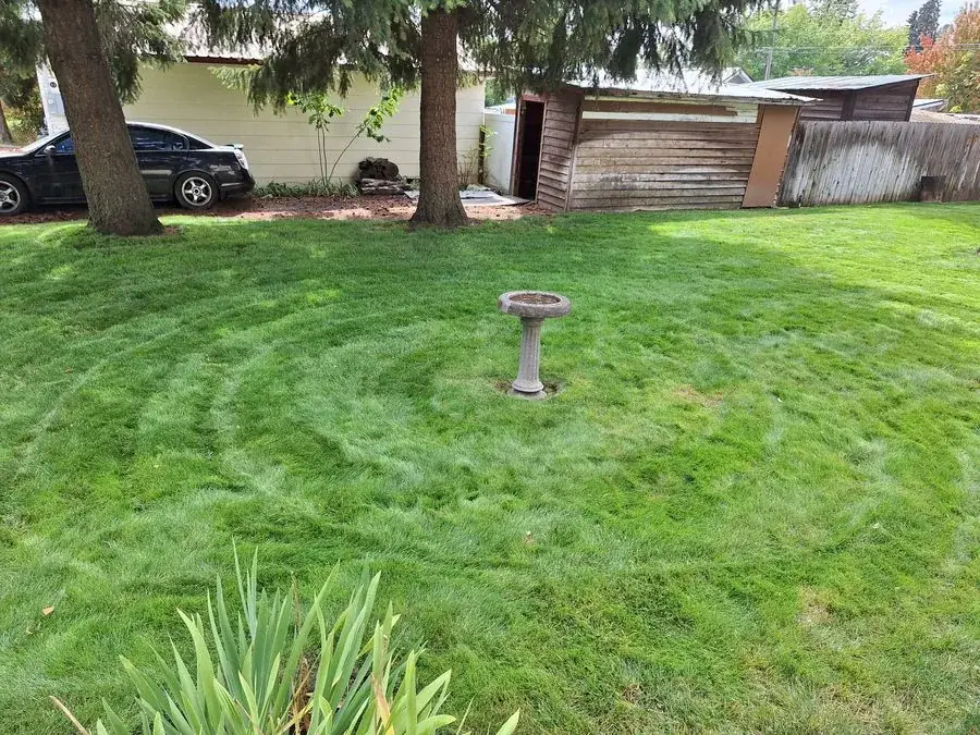 Shade Lawn