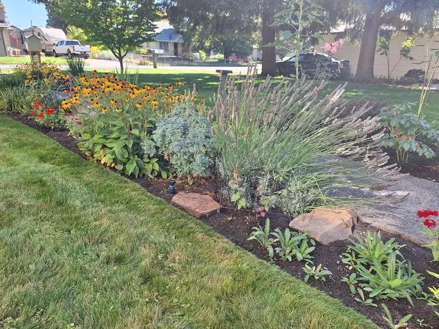 Lawn & Border Beds