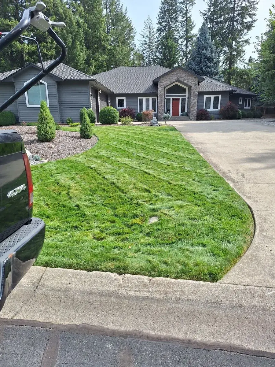 Front lawn and drive of a managed property
