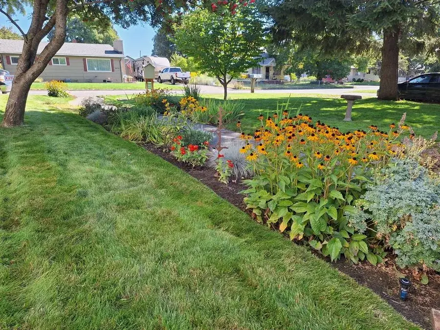 Perennial Border