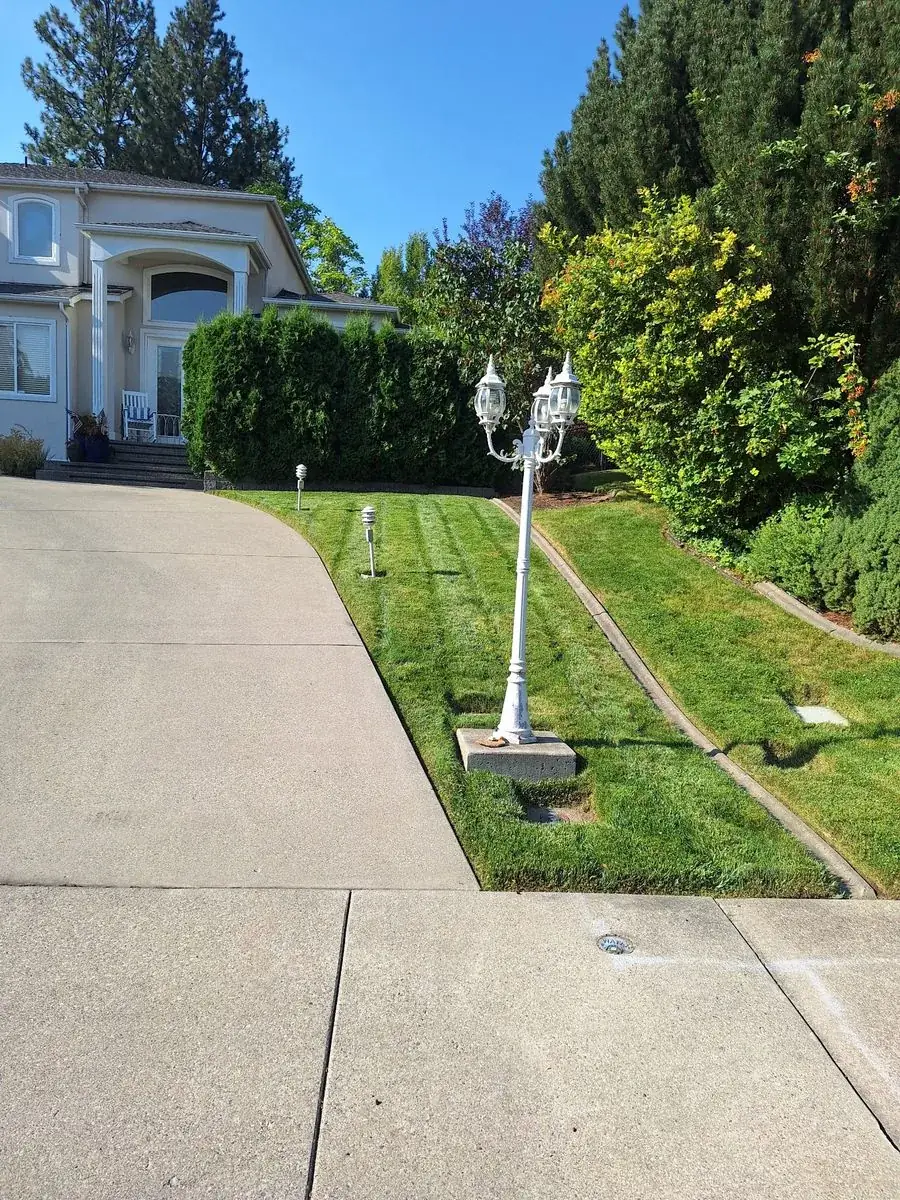 Entry Beds