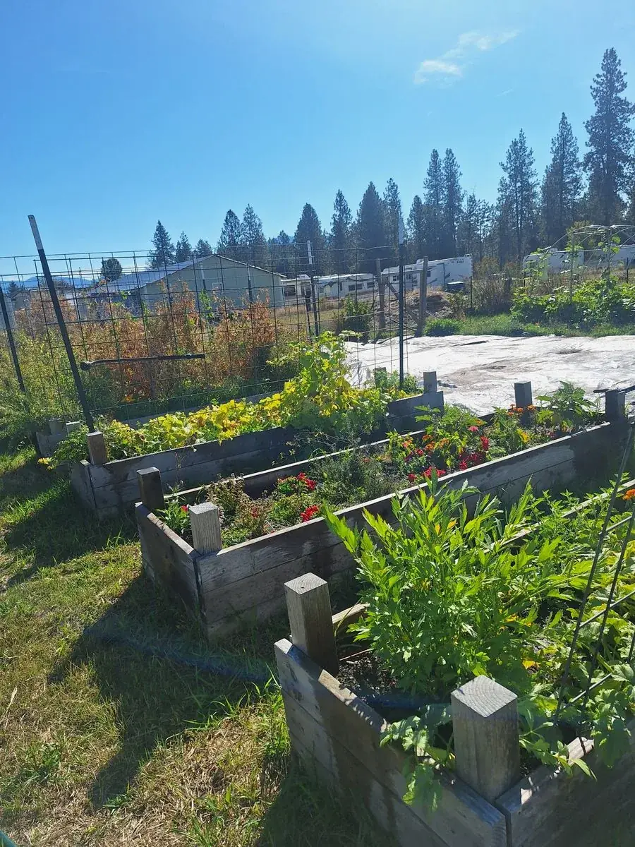 Planting raised beds